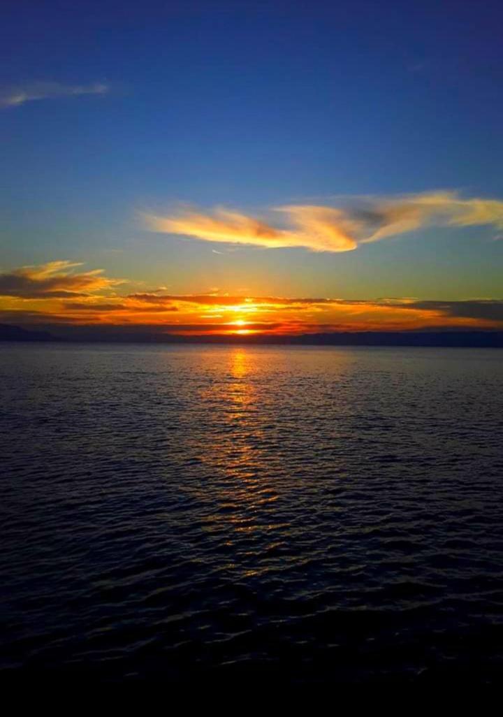 Chales Mata Atlantica De Ubatuba Luaran gambar